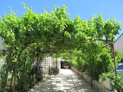 Bild zur gratis inserierten Ferienwohnung .