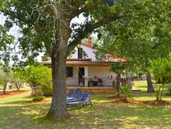 Bild zur gratis inserierten Ferienwohnung House 2174.