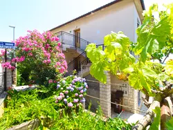 Bild zur gratis inserierten Ferienwohnung Apartment 1828.