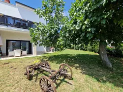 Bild zur gratis inserierten Ferienwohnung House Viola.