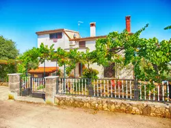 Bild zur gratis inserierten Ferienwohnung Apartment 157.