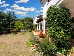 Bild zur gratis inserierten Ferienwohnung Apartment 1791.