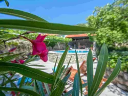 Bild zur gratis inserierten Ferienwohnung Kruzic kuca / HR-09573-01.