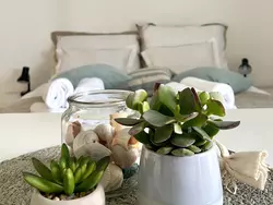 Bild zur gratis inserierten Ferienwohnung Apartment Casa Bella - 1.