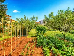 Bild zur gratis inserierten Ferienwohnung Apartment 1334.