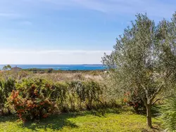 Bild zur gratis inserierten Ferienwohnung House 2131.