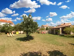 Bild zur gratis inserierten Ferienwohnung House 705.