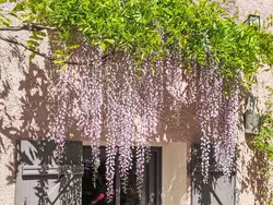 Ferienhaus Haus mit Charme Landschaft von Aix in Châteauneuf-le-Rouge - 6 Personen, Hund erlaubt