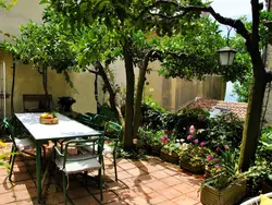 Bild zur gratis inserierten Ferienwohnung Giardino dei Limoni.