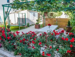 Bild zur gratis inserierten Ferienwohnung Apartment 1870.