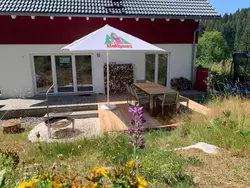 Ferienhaus Schluchseehuus in Blasiwald - 8 Personen, Hund nicht erlaubt