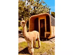 Bild zur gratis inserierten Ferienwohnung Alpaka-Ferienhaus Oenzlen.