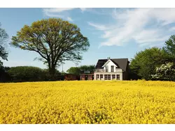 Bild zur gratis inserierten Ferienwohnung Ferienhaus Küstenblick.