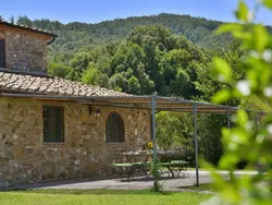Ferienhaus Ferienvilla 'Ginestra 20' mit eigenem Pool in Bibbona - 20 Personen, Hund nicht erlaubt