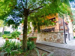 Ferienhaus Villa Elisa in Buti - 10 Personen, Hund erlaubt