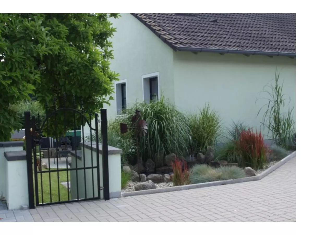 Bild-2