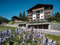 Ferienwohnung Casa Dschember 11 Appartement/Fewo, Bad, WC, 8-Bettwohnung in Arosa - 8 Personen, Hund erlaubt