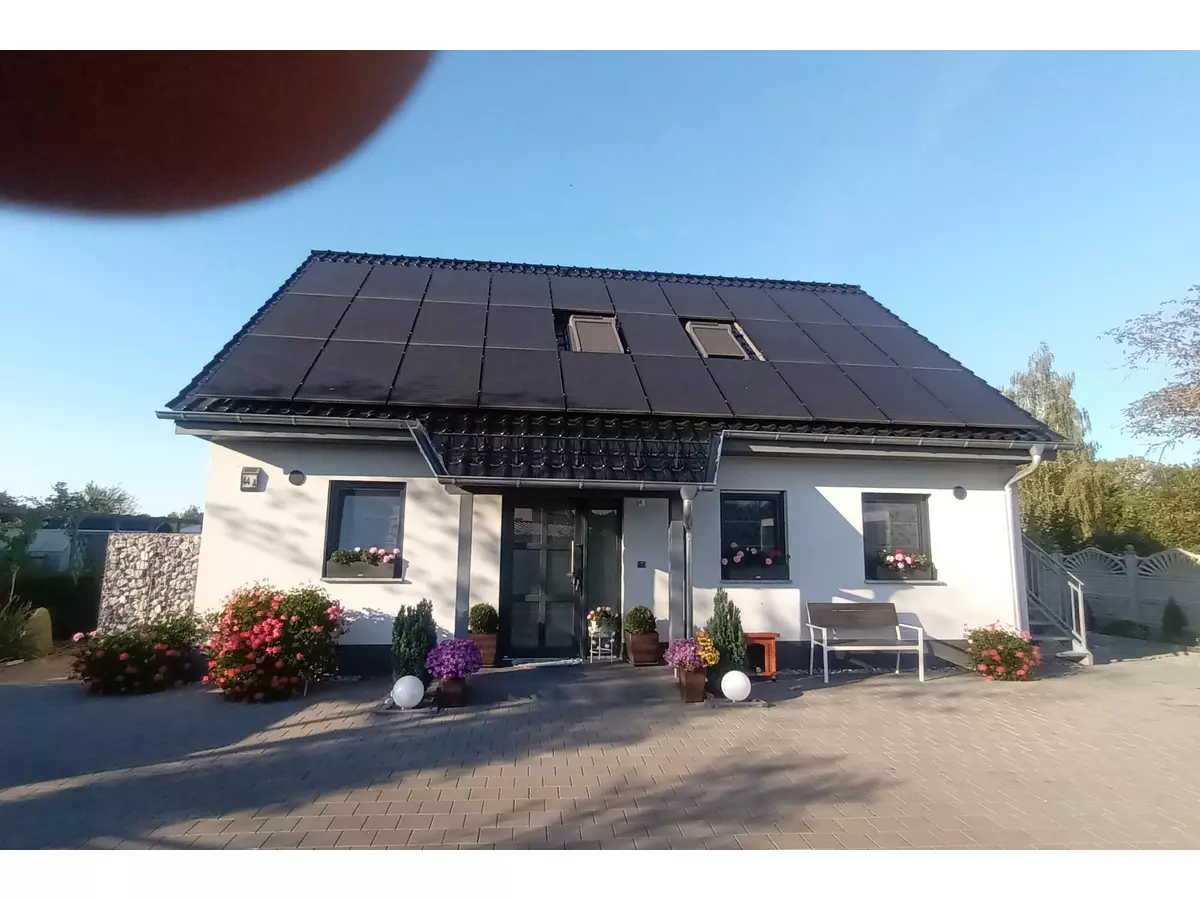 Bild-1
