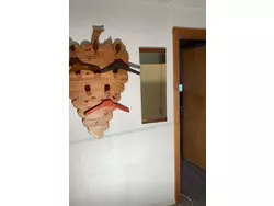 Ferienwohnung Studio Elsighorn in Frutigen - 2 Personen, Hund nicht erlaubt