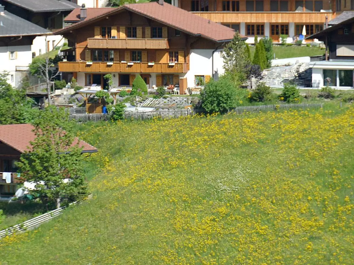 2. Bild Bild-2