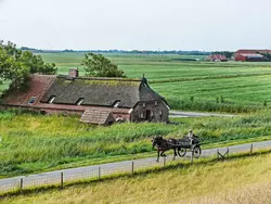 Bild zur gratis inserierten Ferienwohnung Itzendorfer Rott.