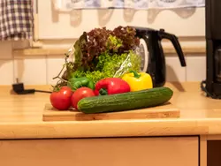 Bild zur gratis inserierten Ferienwohnung Windrad.