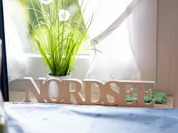 Bild zur gratis inserierten Ferienwohnung Wattkieker.