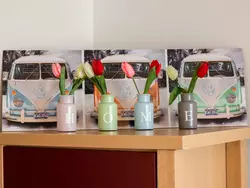 Bild zur gratis inserierten Ferienwohnung Donau (B 77).