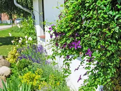 Ferienwohnung Hiddensee in Dargun - 3 Personen, Hund nicht erlaubt