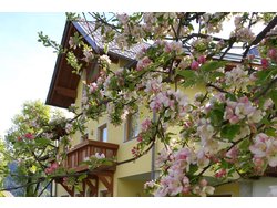 Bild zur gratis inserierten Ferienwohnung Landhaus Flaschberger.