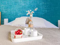 Bild zur gratis inserierten Ferienwohnung Les Yuccas Promenade des Anglais.