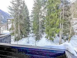 Ferienwohnung Grand Roc in Chamonix-Mont-Blanc - 4 Personen, Hund erlaubt