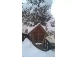 Ferienwohnung Ferienwohnung-1178752 in Mallnitz - 6 Personen, Hund nicht erlaubt