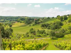 Bild zur gratis inserierten Ferienwohnung Ferienhaus-1148362.