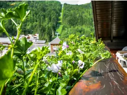 Ferienwohnung Ferienwohnung-1306902 in Irdning-Donnersbachtal - 4 Personen, Hund nicht erlaubt