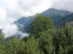 Bild zur gratis inserierten Ferienwohnung Ferienwohnung-1323229.