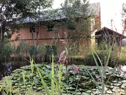 Bild zur gratis inserierten Ferienwohnung Ferienwohnung-1573743.