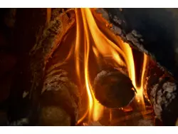 Bild zur gratis inserierten Ferienwohnung Ferienwohnung-1649089.