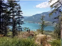 Bild zur gratis inserierten Ferienwohnung Ferienwohnung-1726816.