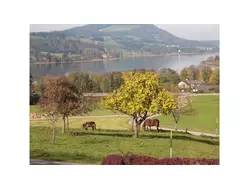 Bild zur gratis inserierten Ferienwohnung Ferienwohnung-1727031.