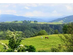 Ferienwohnung Ferienwohnung-1727040 in Gemeinde Doren - 5 Personen, Hund nicht erlaubt