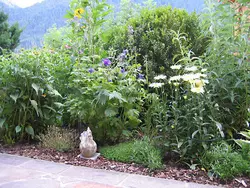 Bild zur gratis inserierten Ferienwohnung Ferienwohnung-1727778.