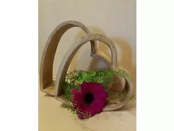 Bild zur gratis inserierten Ferienwohnung Ferienwohnung-1727791.