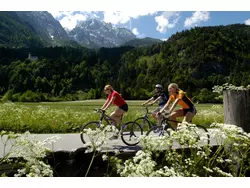 Bild zur gratis inserierten Ferienwohnung Ferienwohnung-1863675.