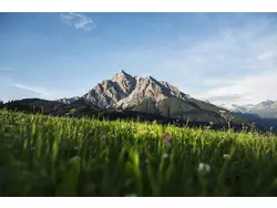 Bild zur gratis inserierten Ferienwohnung Ferienwohnung-3425194.