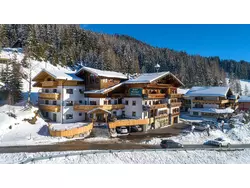 Ferienwohnung Ferienwohnung-1938355 in Mühlbach am Hochkönig - 4 Personen, Hund erlaubt