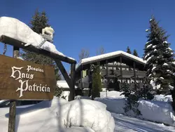 Ferienwohnung Ferienwohnung-3236053 in Lofer - 4 Personen, Hund nicht erlaubt