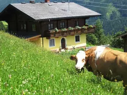 Ferienwohnung Ferienwohnung-1938334 in Mühlbach am Hochkönig - 4 Personen, Hund erlaubt