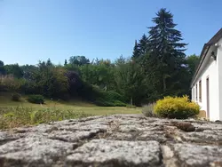 Ferienhaus Ferienhaus-3493765 in Bezirk Horn - 4 Personen, Hund nicht erlaubt