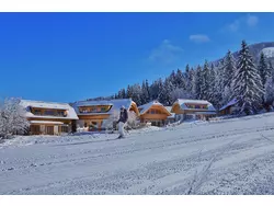 Bild zur gratis inserierten Ferienwohnung Ferienhaus-1941813.